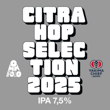 画像をギャラリービューアに読み込む, Citra Hop Selection 2025
